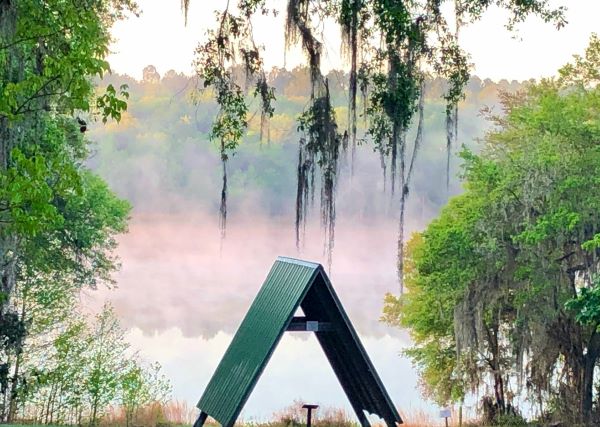 A still lake holds the first light of morning as Spanish moss catches the mist rising off the water in this photo by Sunil Ancha