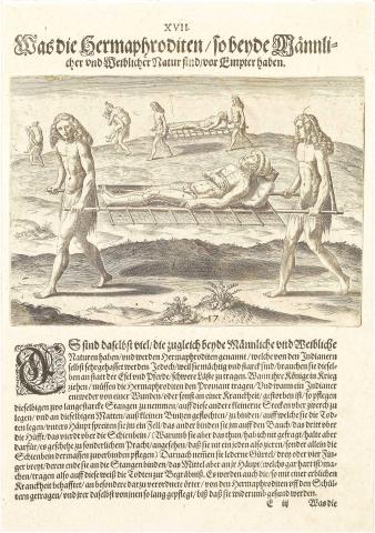 Plate XVII. Functions of the Hermaphrodites