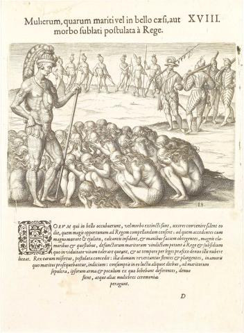 Plate XVII. Functions of the Hermaphrodites