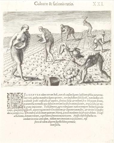 Plate XXI. Cultivation and Sowing