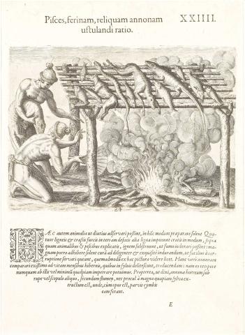 Plate XXIV. Mode of Drying Fish, Game and other Provisions