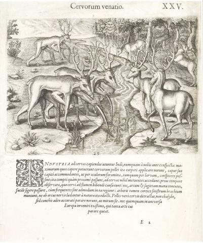 Plate XXV. Stag Hunting