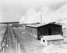 photo of a warehouse in a Holocaust era concentration camp